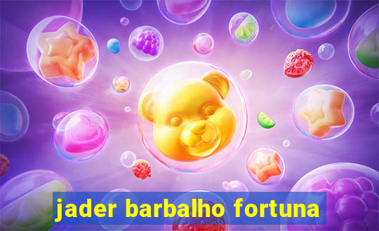 jader barbalho fortuna